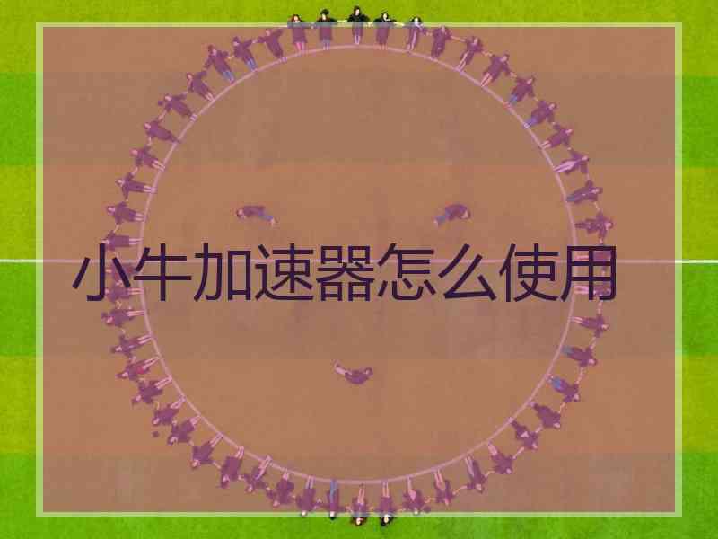 小牛加速器怎么使用 小牛加速器怎么使用