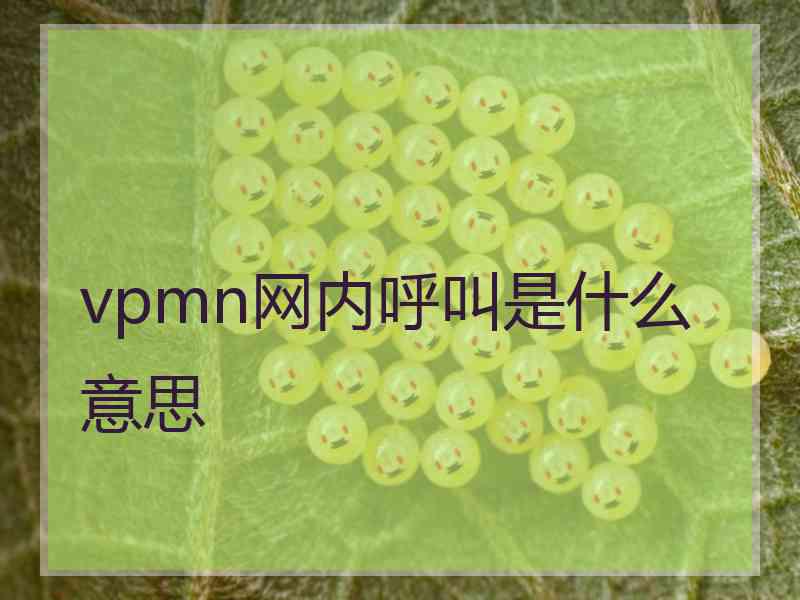 vpmn网内呼叫是什么意思 vpmn网内呼叫是什么意思