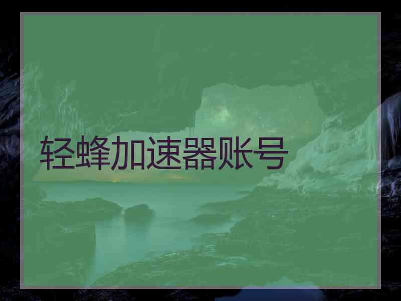 轻蜂加速器账号 轻蜂加速器账号