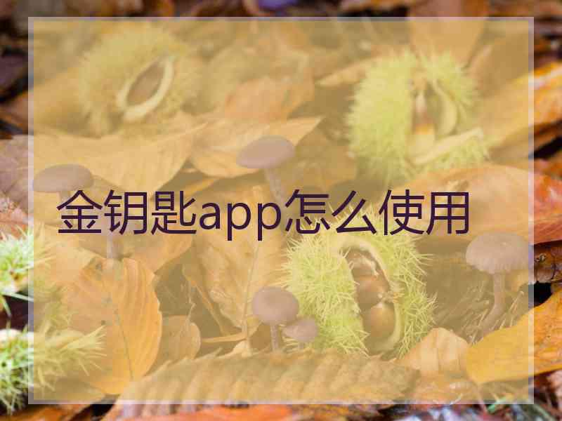 金钥匙app怎么使用 金钥匙app怎么使用