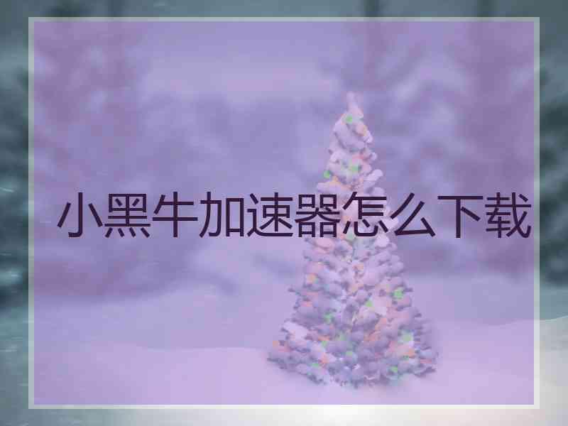 小黑牛加速器怎么下载 小黑牛加速器怎么下载