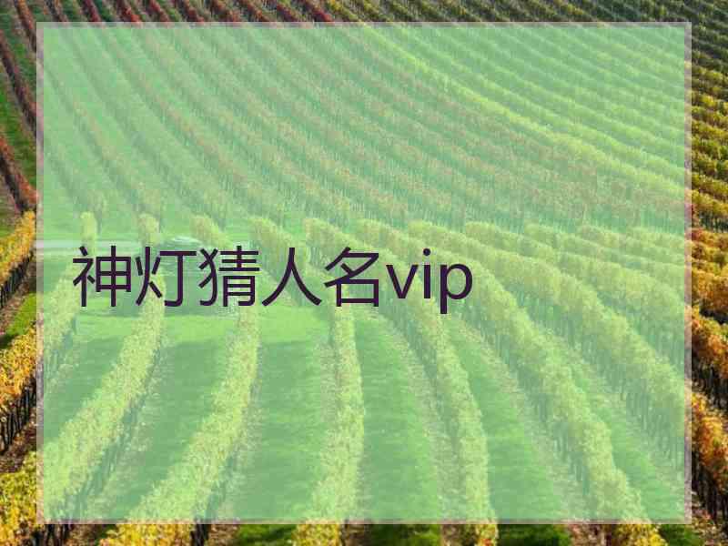 神灯猜人名vip 神灯猜人名vip