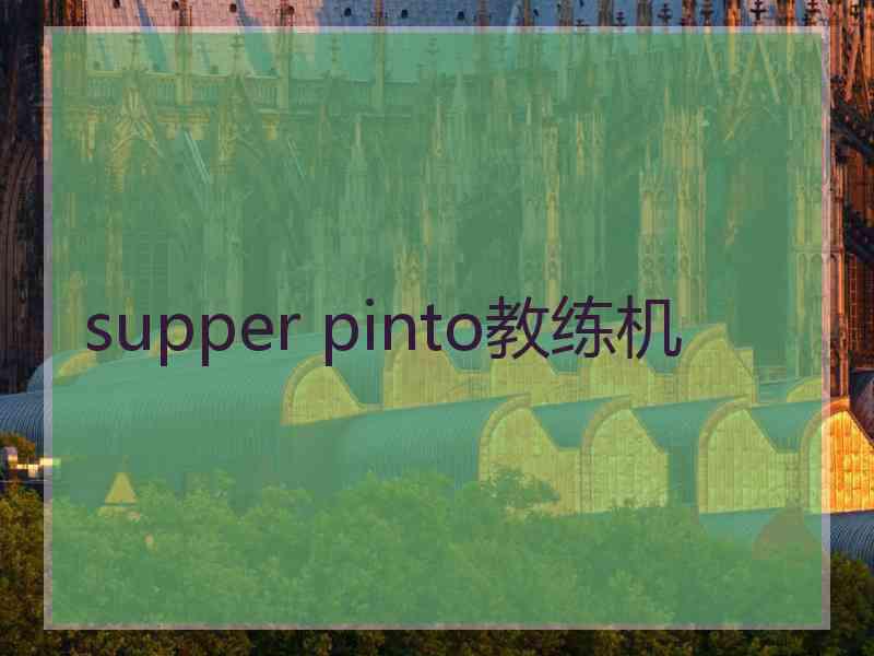 supper pinto教练机 supper pinto教练机