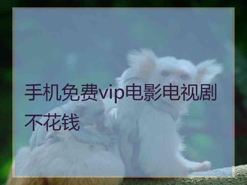 手机免费vip电影电视剧不花钱 手机免费vip电影电视剧不花钱