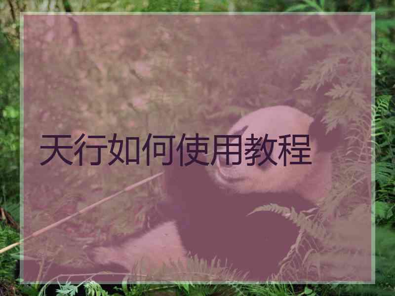 天行如何使用教程 天行如何使用教程