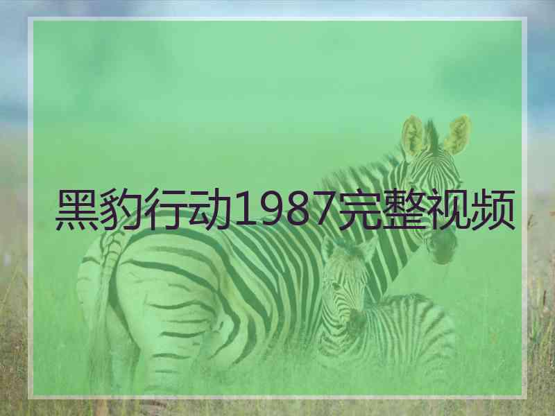 黑豹行动1987完整视频 黑豹行动1987完整视频