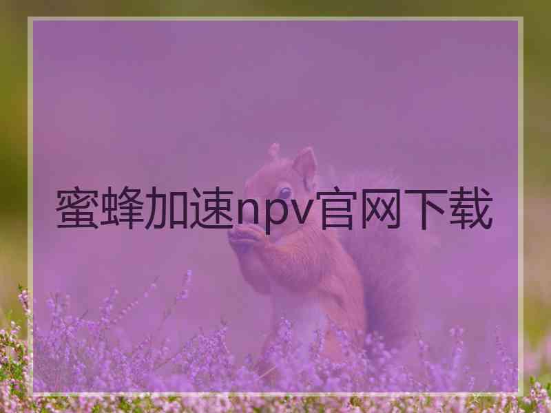 蜜蜂加速npv官网下载 蜜蜂加速npv官网下载