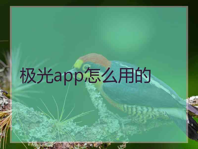 极光app怎么用的 极光app怎么用的