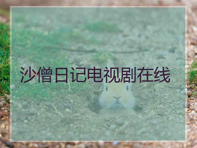 沙僧日记电视剧在线 沙僧日记电视剧在线