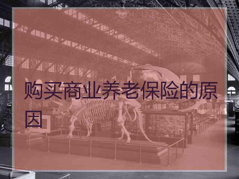 购买商业养老保险的原因 购买商业养老保险的原因