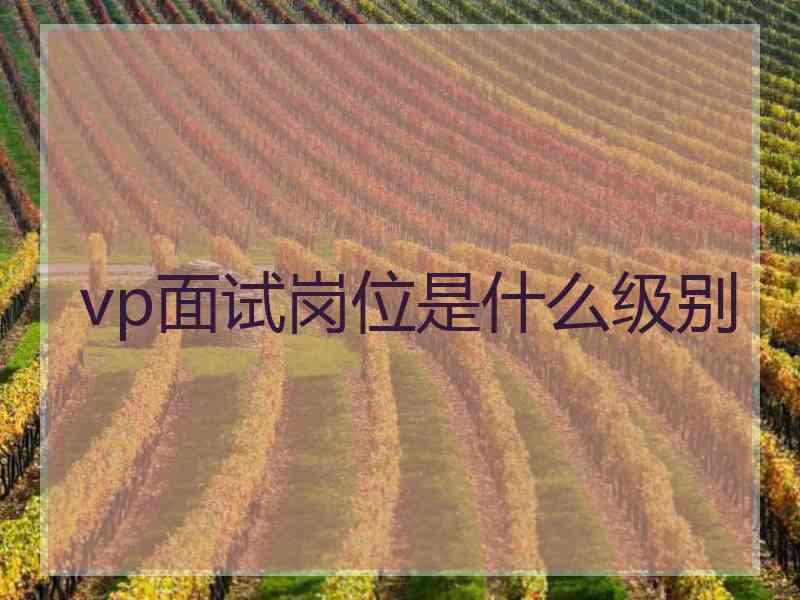 vp面试岗位是什么级别 vp面试岗位是什么级别