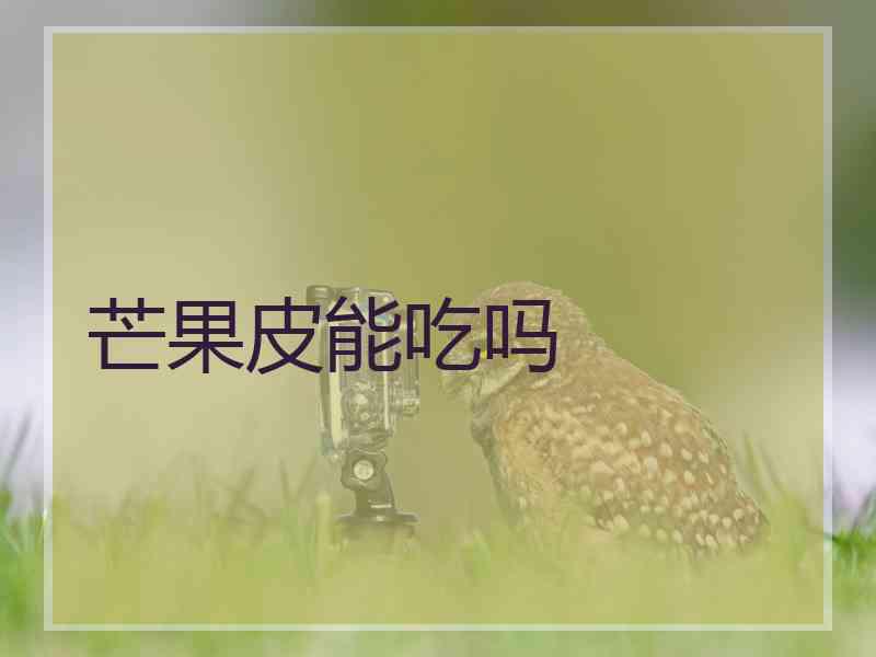芒果皮能吃吗 芒果皮能吃吗