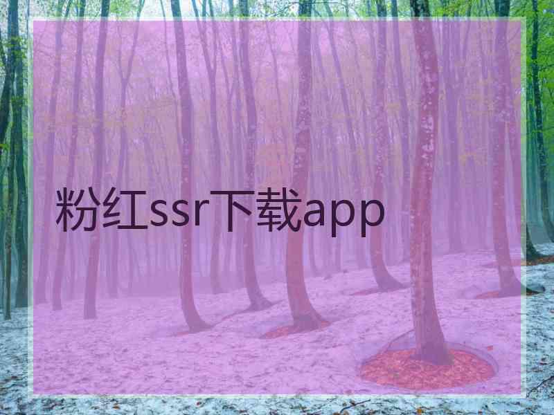 粉红ssr下载app 粉红ssr下载app