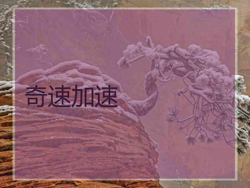 奇速加速 奇速加速