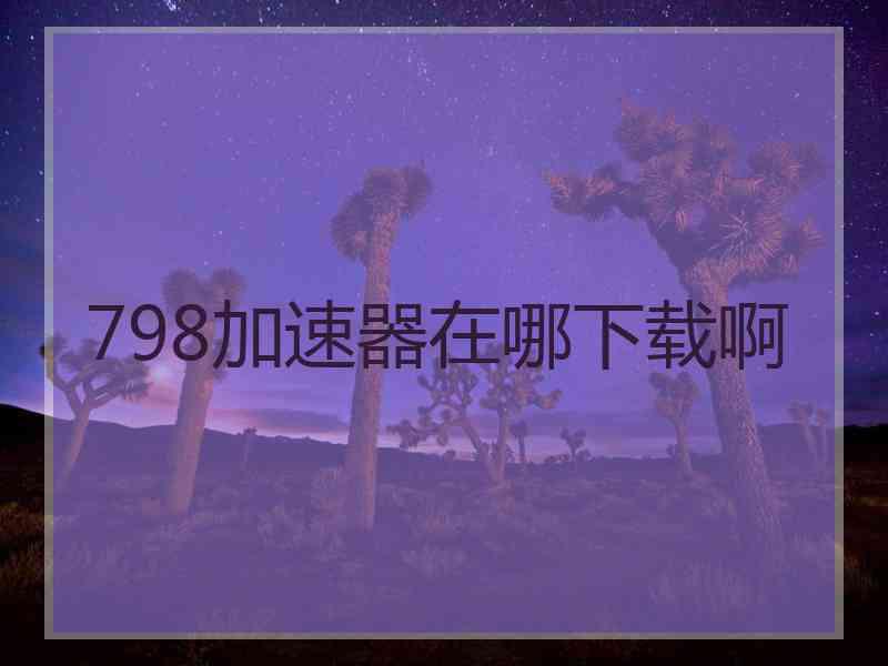 798加速器在哪下载啊 798加速器在哪下载啊