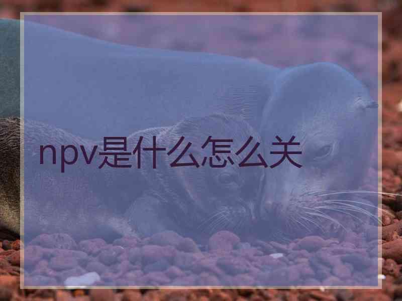 npv是什么怎么关 npv是什么怎么关