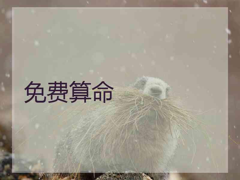 免费算命 免费算命