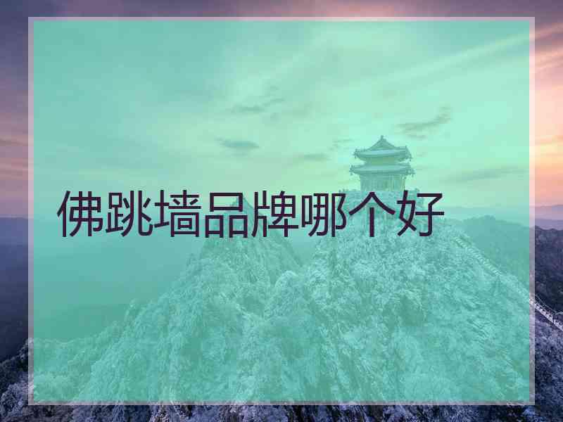 佛跳墙品牌哪个好 佛跳墙品牌哪个好