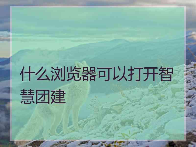 什么浏览器可以打开智慧团建 什么浏览器可以打开智慧团建