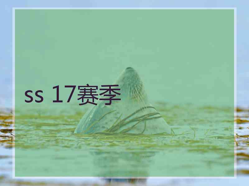 ss 17赛季 ss 17赛季