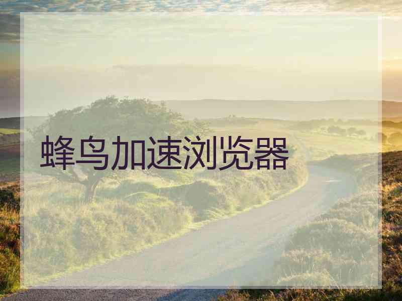 蜂鸟加速浏览器 蜂鸟加速浏览器