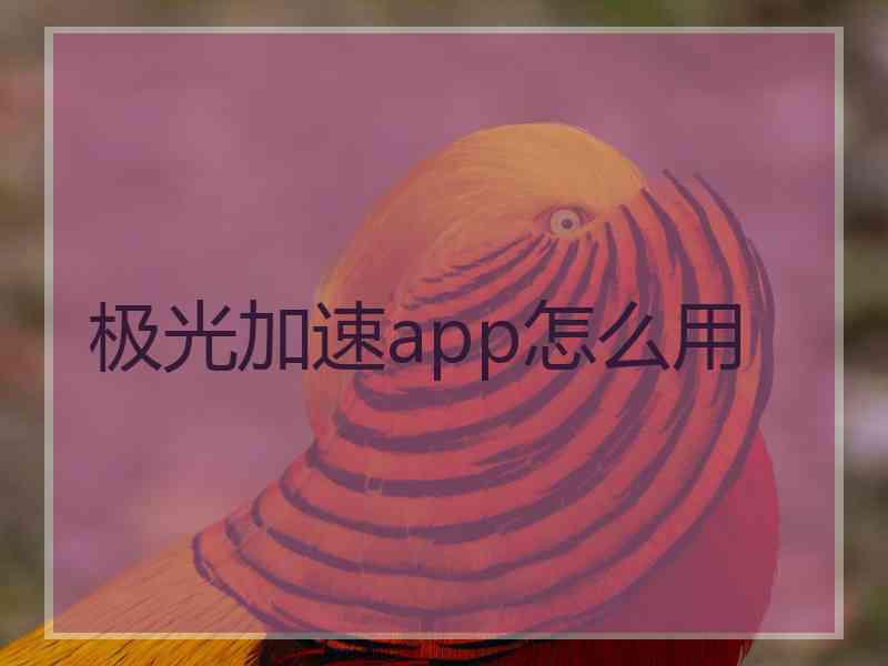 极光加速app怎么用 极光加速app怎么用