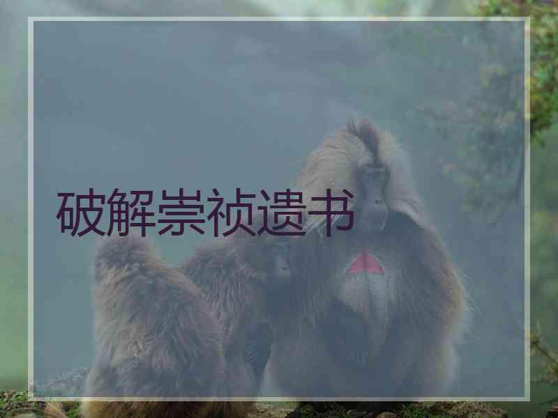 破解崇祯遗书 破解崇祯遗书