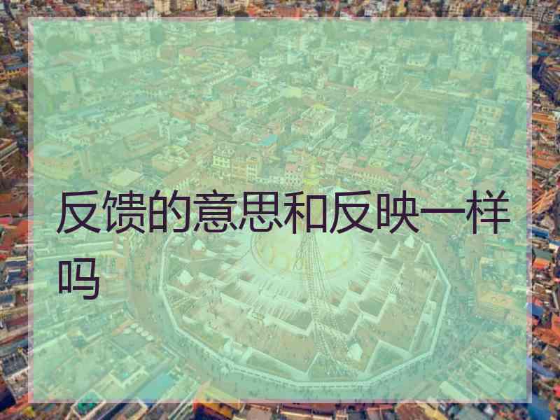 反馈的意思和反映一样吗 反馈的意思和反映一样吗