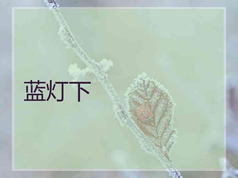 蓝灯下 蓝灯下