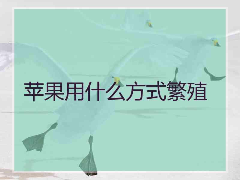 苹果用什么方式繁殖 苹果用什么方式繁殖