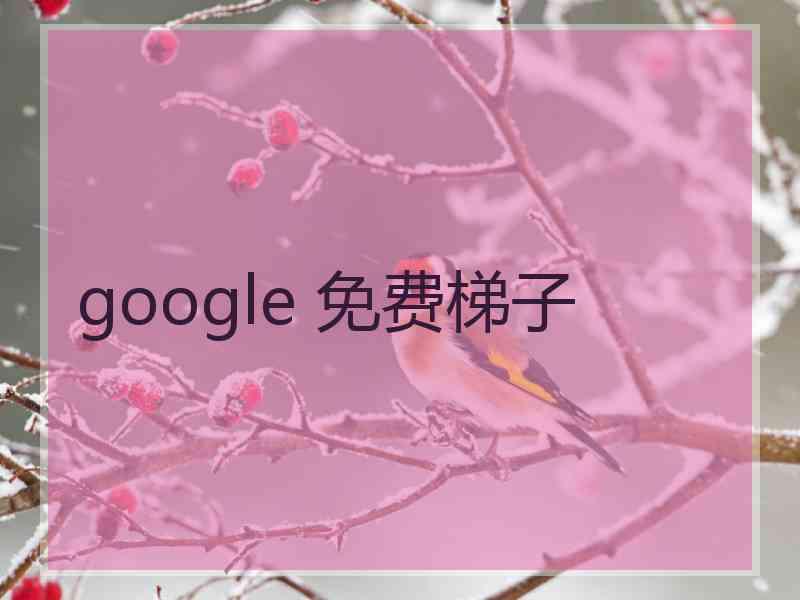 google 免费梯子 google 免费梯子
