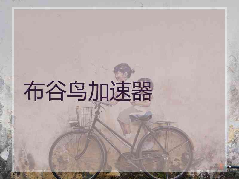 布谷鸟加速器 布谷鸟加速器