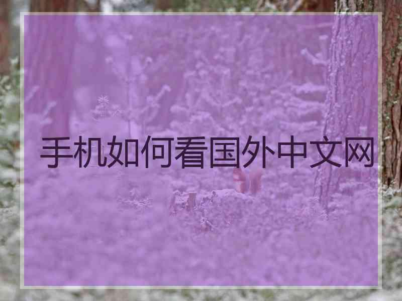 手机如何看国外中文网 手机如何看国外中文网