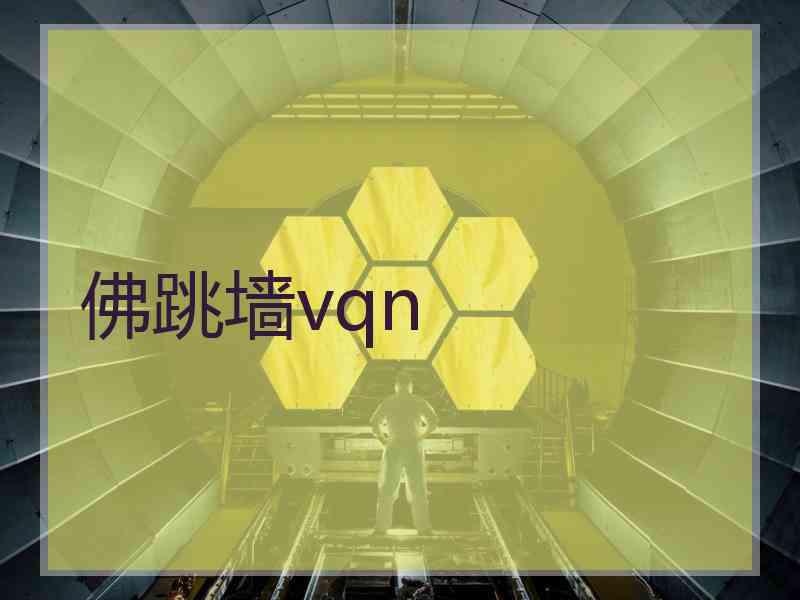 佛跳墙vqn 佛跳墙vqn