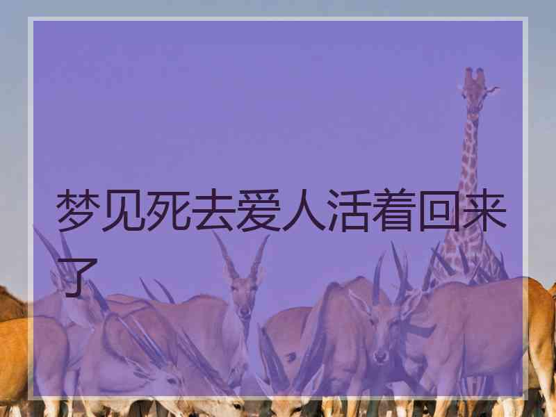 梦见死去爱人活着回来了 梦见死去爱人活着回来了