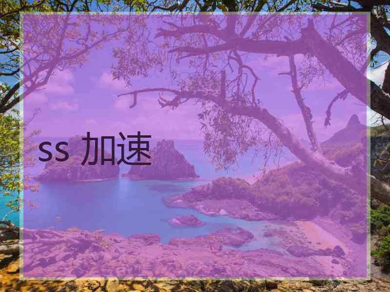 ss 加速 ss 加速