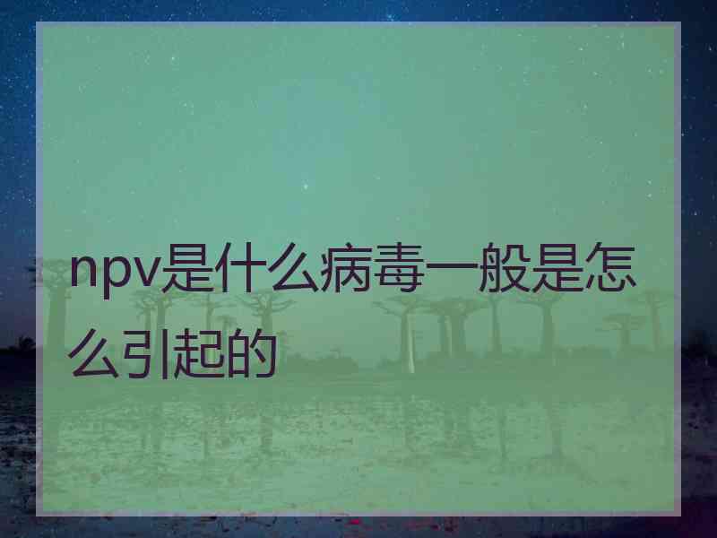 npv是什么病毒一般是怎么引起的 npv是什么病毒一般是怎么引起的