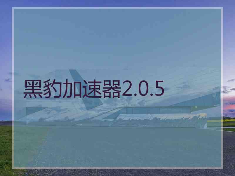 黑豹加速器2.0.5 黑豹加速器2.0.5