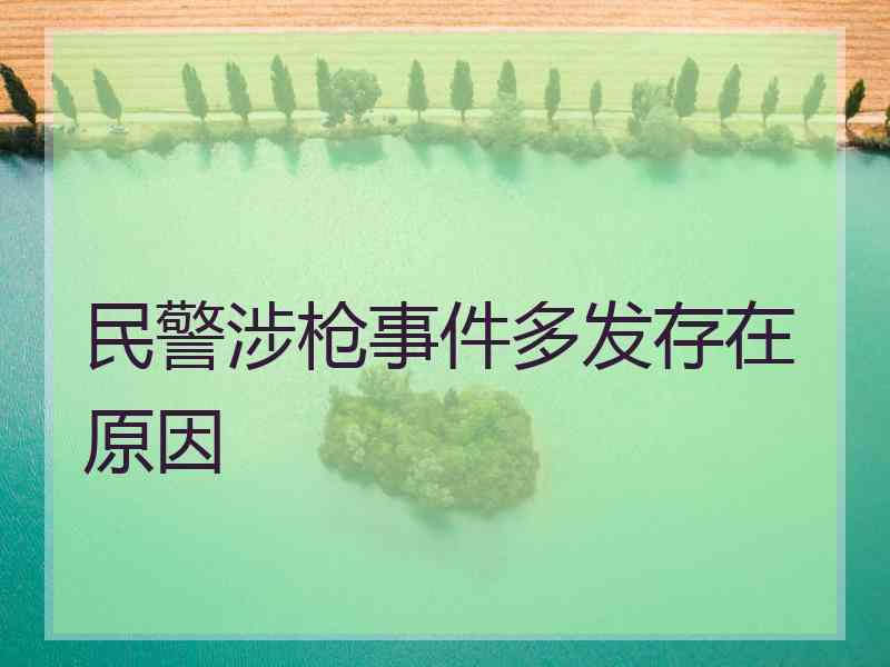 民警涉枪事件多发存在原因 民警涉枪事件多发存在原因