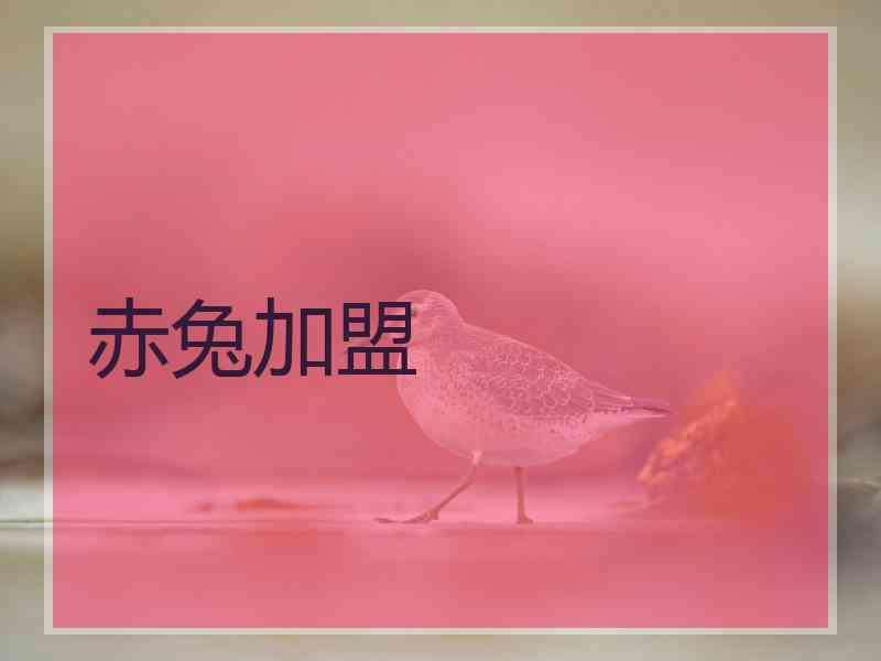 赤兔加盟 赤兔加盟