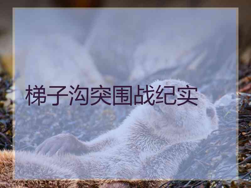 梯子沟突围战纪实 梯子沟突围战纪实
