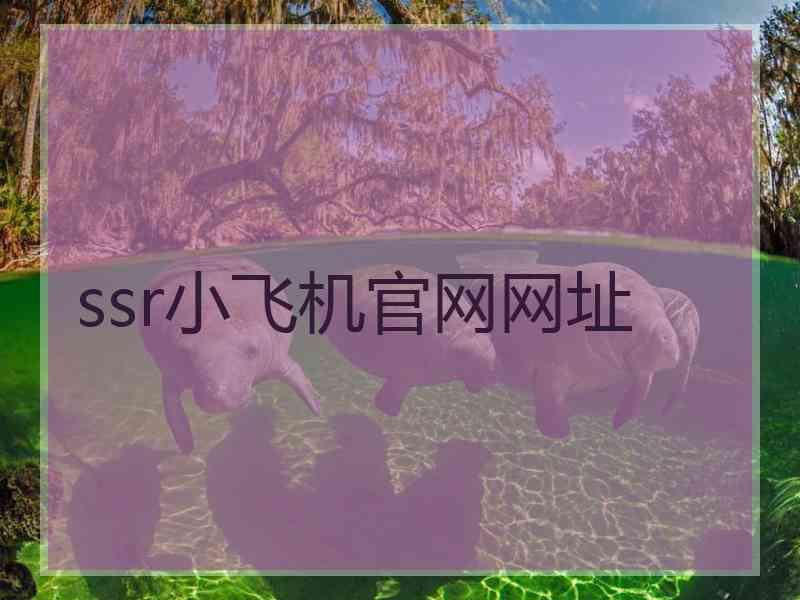ssr小飞机官网网址 ssr小飞机官网网址