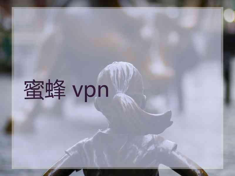 蜜蜂 vpn 蜜蜂 vpn