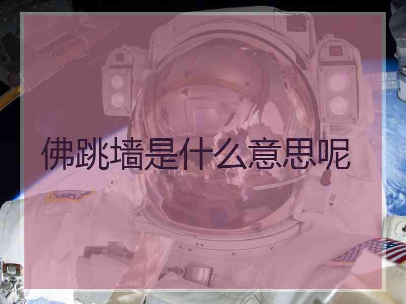 佛跳墙是什么意思呢 佛跳墙是什么意思呢