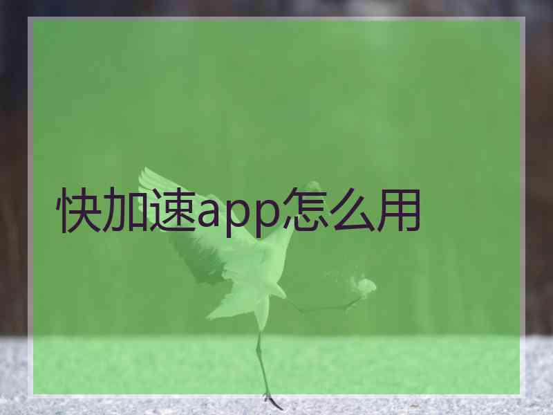 快加速app怎么用 快加速app怎么用