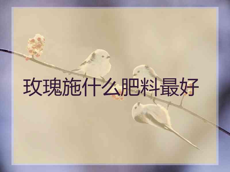 玫瑰施什么肥料最好 玫瑰施什么肥料最好