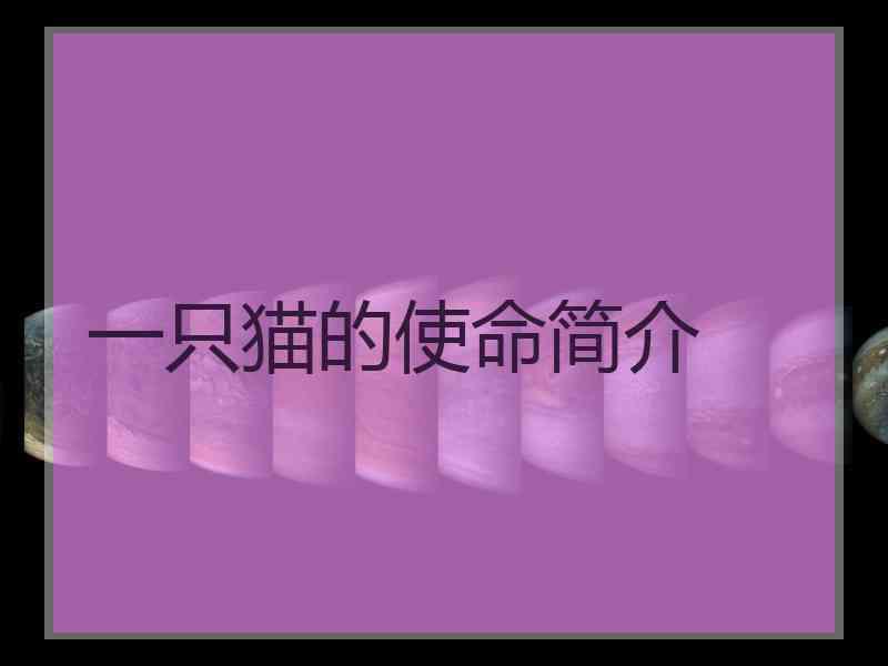 一只猫的使命简介 一只猫的使命简介