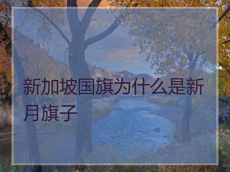 新加坡国旗为什么是新月旗子 新加坡国旗为什么是新月旗子