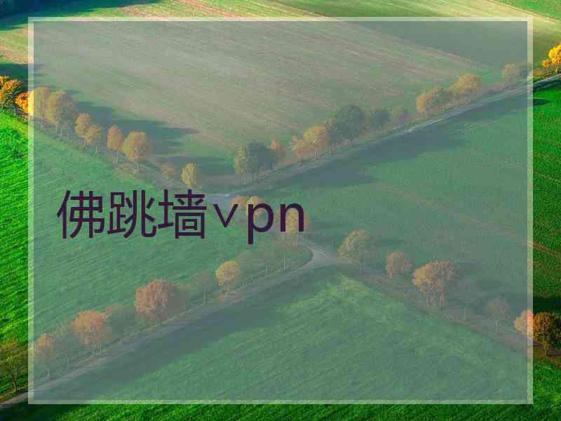 佛跳墙∨pn 佛跳墙∨pn