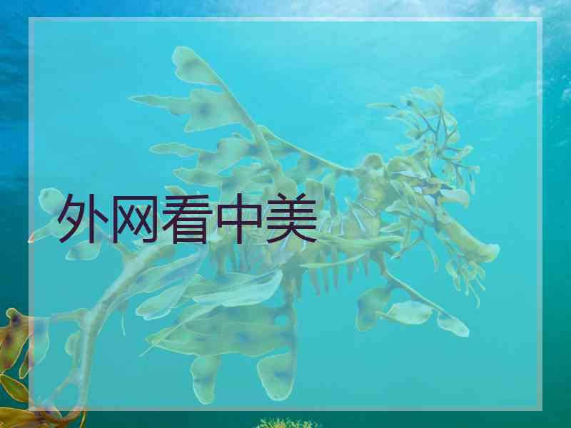 外网看中美 外网看中美